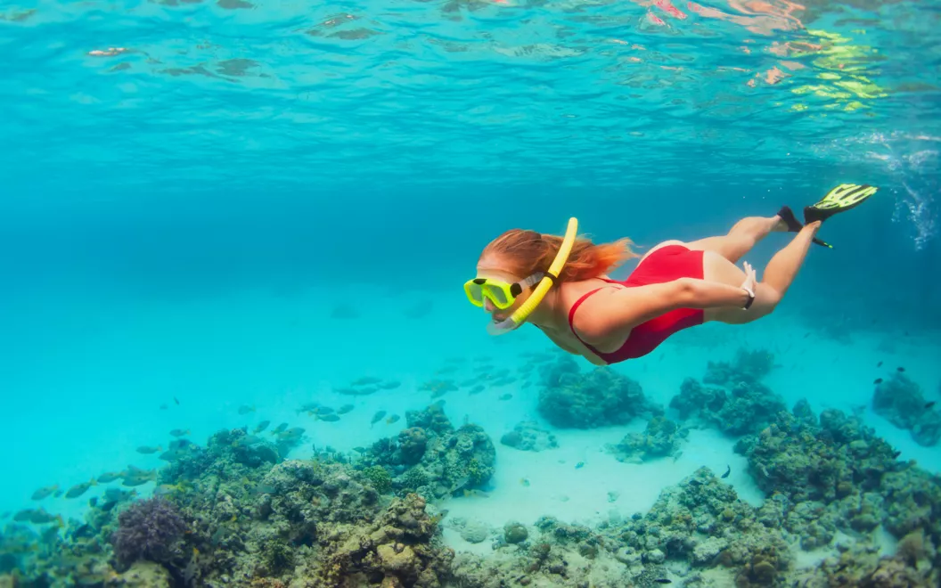 Mafia Island Chole Tour From Zanzibar: Your Ultimate Guide 2026-2027