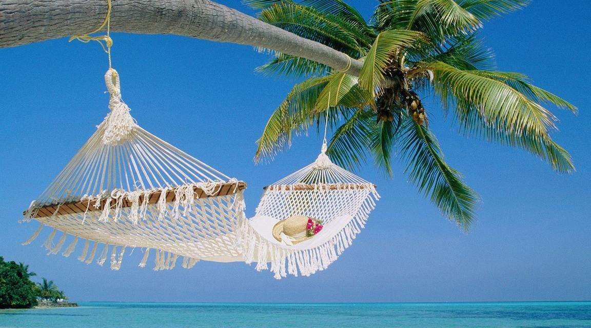 Safari Blue Snorkeling and Seafood Lunch Tour: Your Ultimate Zanzibar Experience