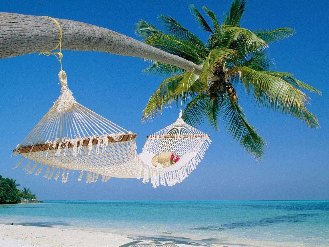 Stone Town, Spice Tour & Prison Island Day Trip: Zanzibar's Historical Heartbeat