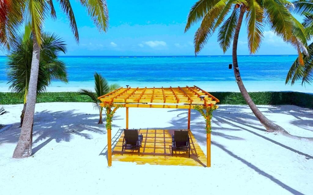 Safari Blue Full Day Trip Zanzibar: Your Ultimate Island Adventure Guide