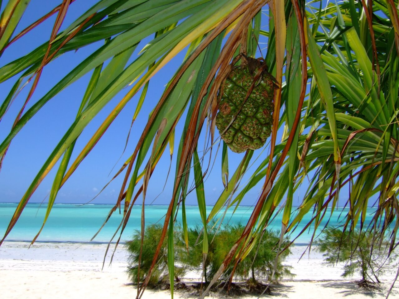 Zanzibar Itinerary: 3, 5, And 7 Days: Essential Travel Guide