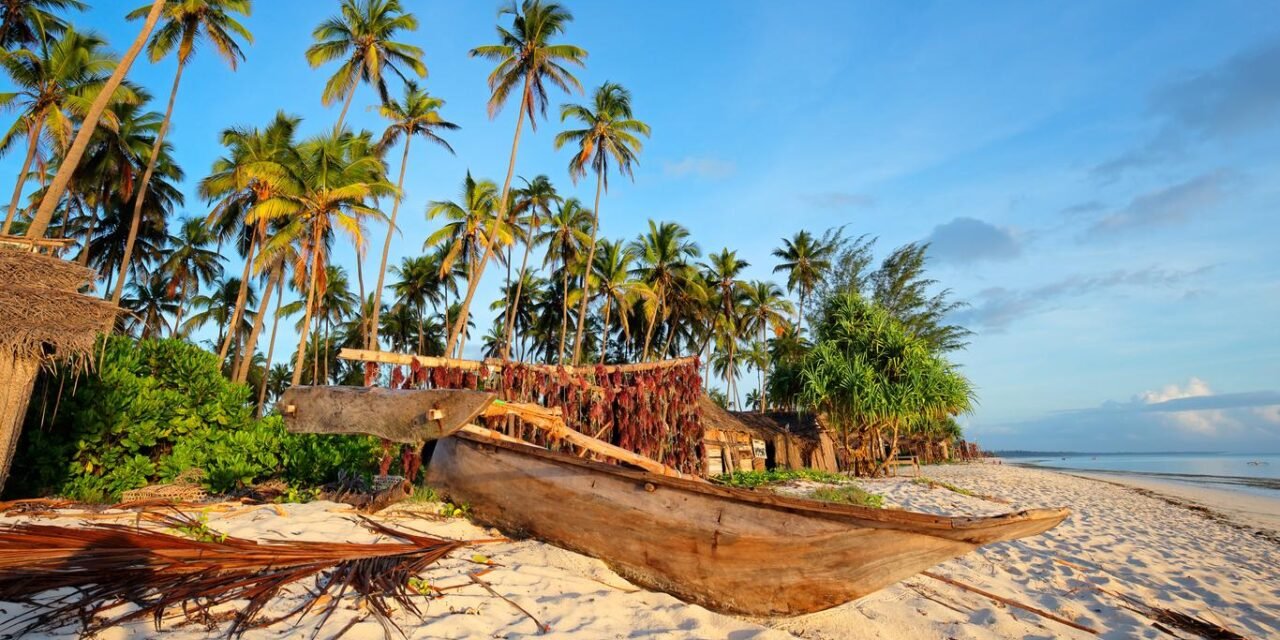 Stone Town Private Guided Tour Zanzibar: Uncover History & Culture