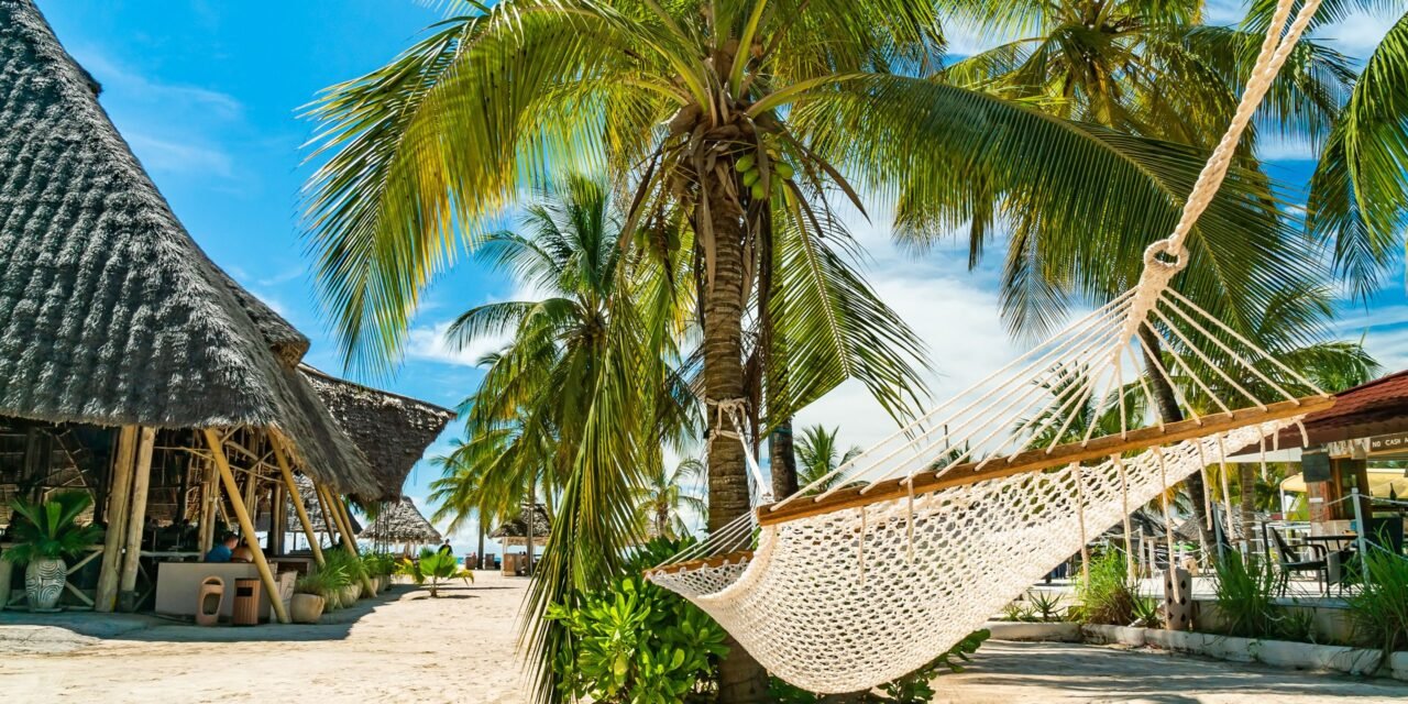 Mikumi Safari From Zanzibar Price Per Person: Best Guide 2026-2027-2028
