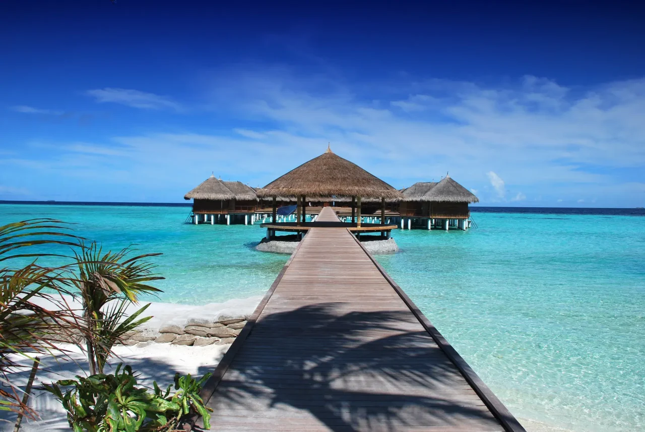 Mikumi Fly-In Day Safari From Zanzibar: Best Guide 2026-2027-2028