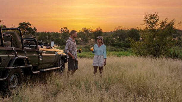 Safari & Pemba Island Package: Tanzania Wildlife Meets Remote Beach Bliss
