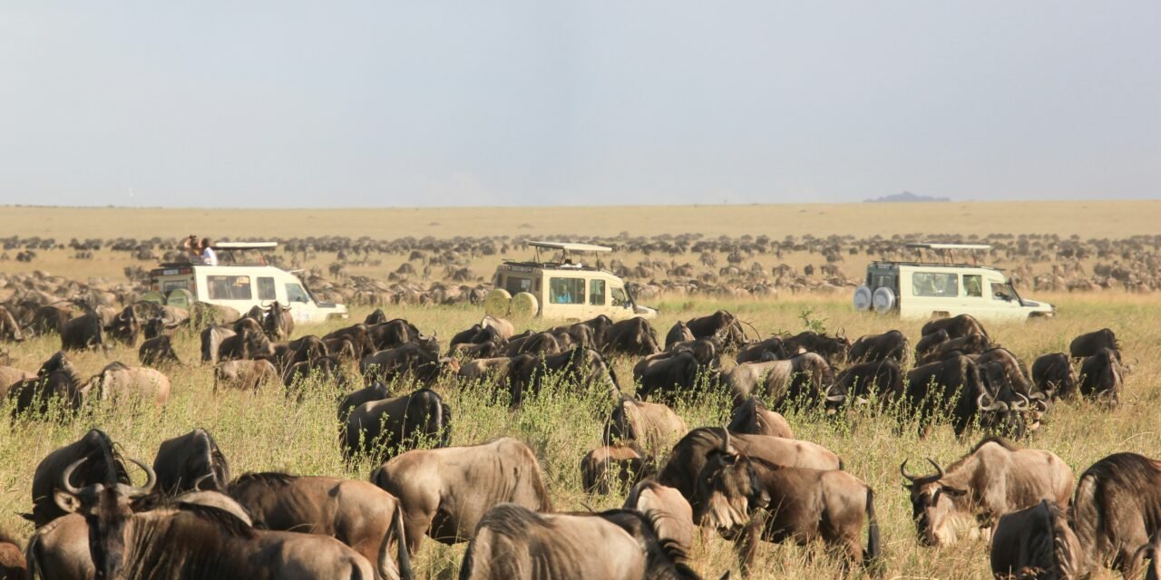 How to Plan a 4 Day Tanzania Safari – Complete Guide 2026-2027