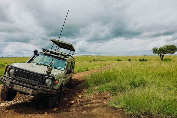 Katavi & Mahale Safari Cost 2026/2027 – Flights, Lodges & Chimp Trekking