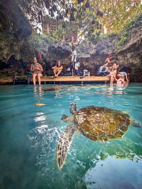 Best Safari For Families Africa: Essential Travel Guide
