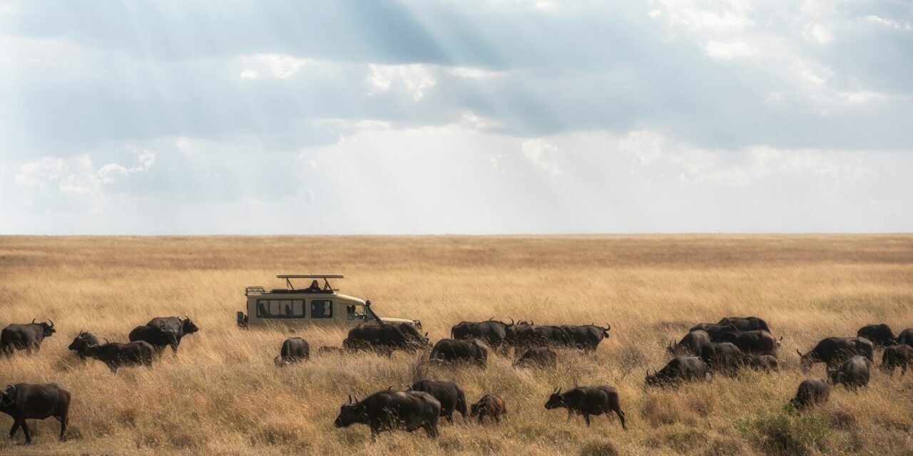 How to Find Reliable Tours and Safaris in Tanzania – Complete Guide 2026-2027