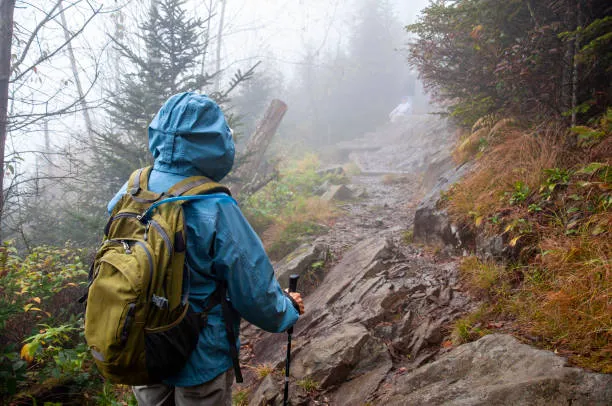 Best Time To Climb Mount Kilimanjaro: Essential Travel Guide