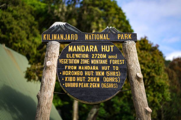 Kilimanjaro Day Hike to Mandara Hut, Marangu Route, Best Trek 2026-2027