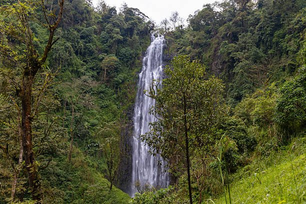 Best Meru Forest and Napuru Waterfall Day Trip from Moshi 2026-2027