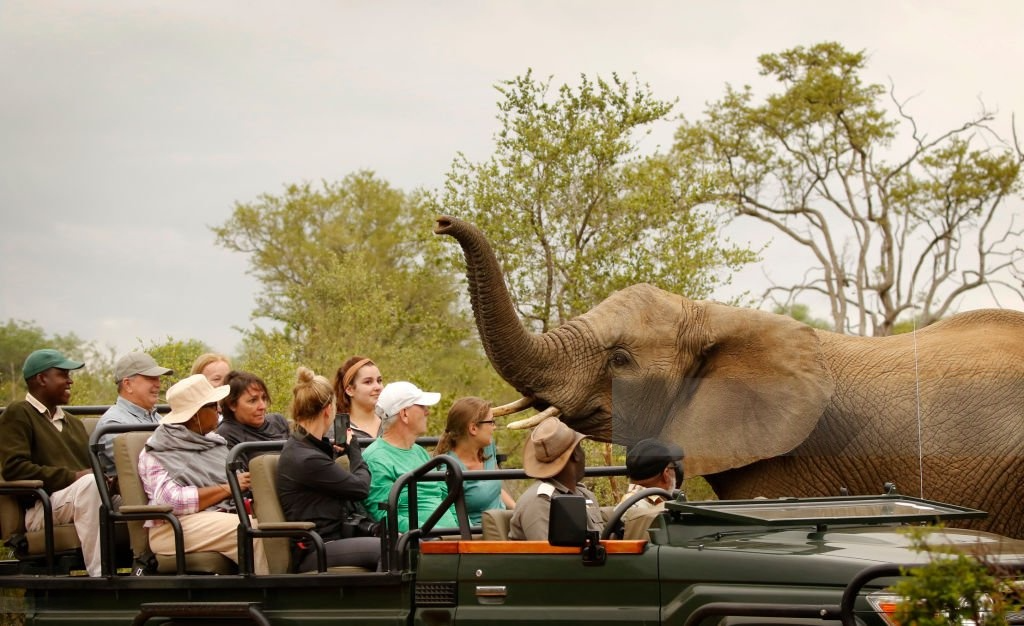 How to Plan Tanzania Safari for First Timers – Complete Guide 2026-2027