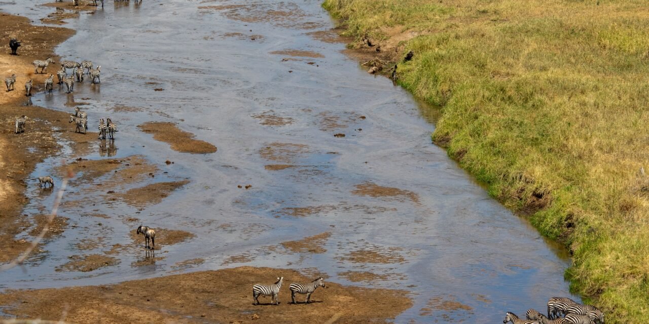 How to Visit Serengeti and Ngorongoro from Arusha – Complete Guide 2026-2027