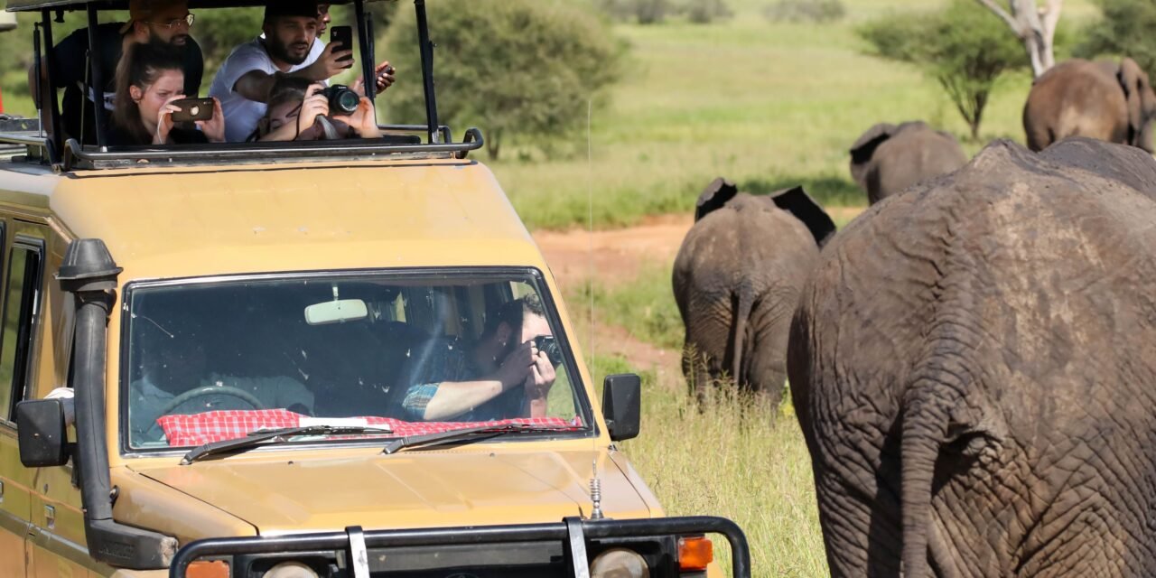 How to Go on Safari from Arusha to Serengeti – Complete Guide 2026-2027