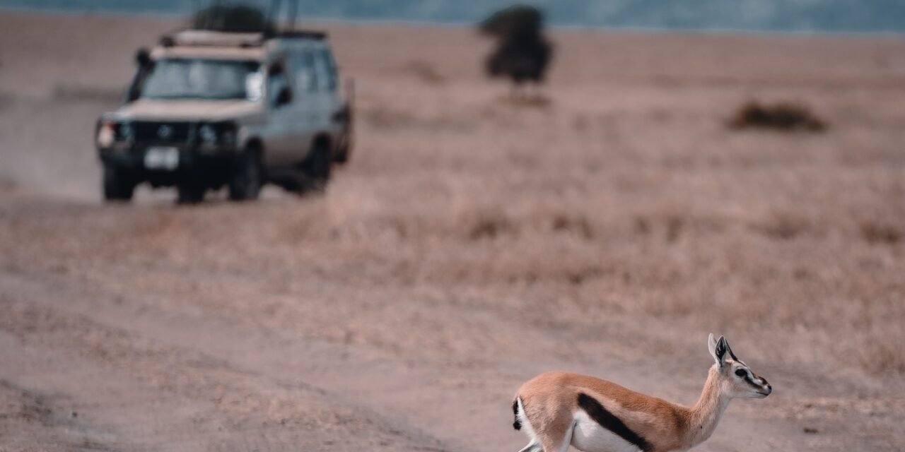 How to Arrange a Serengeti Safari Starting in Arusha – Complete Guide 2026-2027