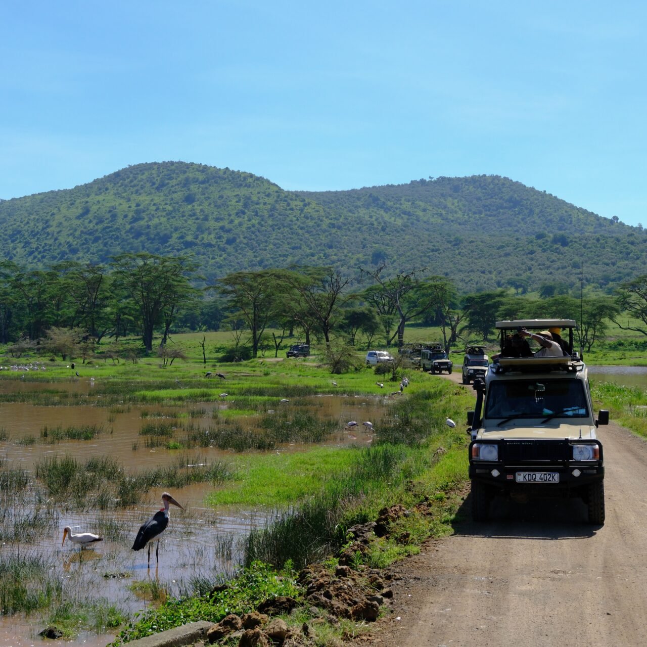 Best 2 Days Mkomazi National Park From Dar Es Salaam 2026-2027