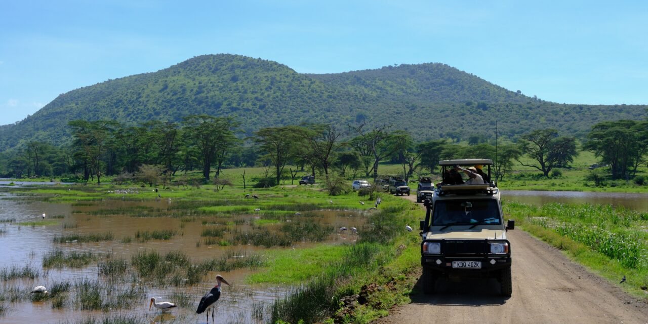 Best 2 Days Mkomazi National Park From Dar Es Salaam 2026-2027