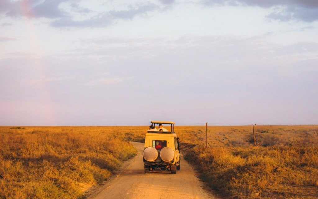How to Budget for a Tanzania Safari Holiday – Complete Guide 2026-2027