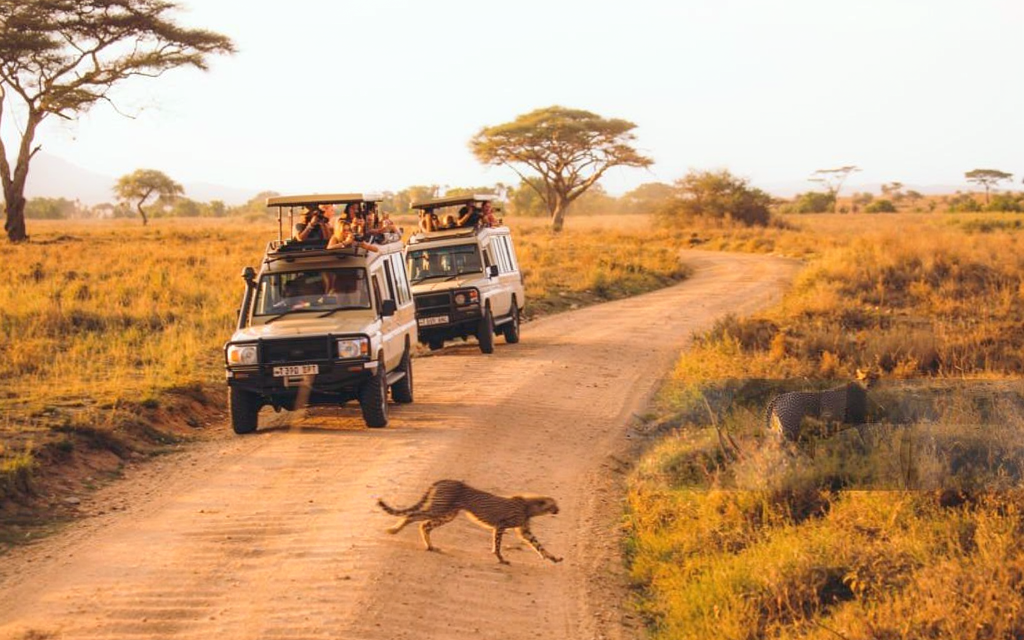 How to Avoid Hidden Costs on Tanzania Safari – Complete Guide 2026-2027