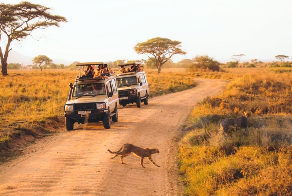 Tanzania’s Secret Island Most Tourists Don’t Know About Guide