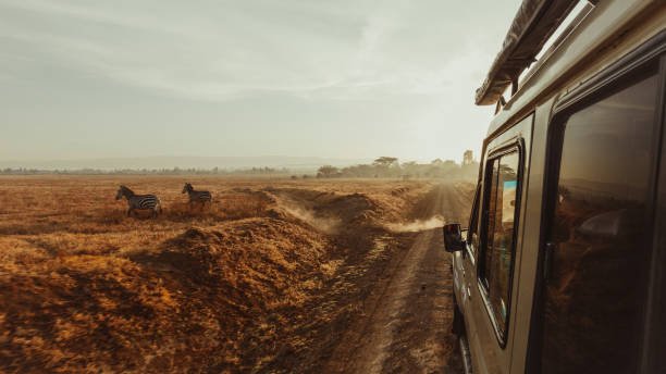 2 Days Saadani Safari From Zanzibar: Price, Itinerary & What To Expect