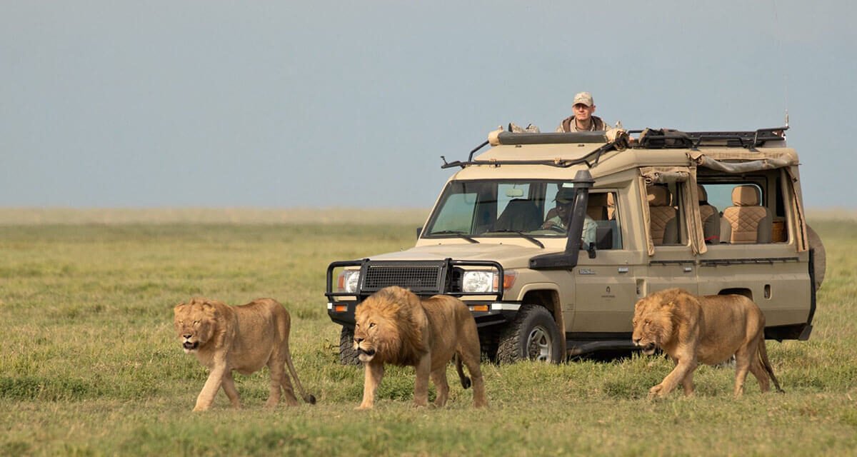 Tanzania Honeymoon Itinerary: Complete Travel Guide 2026-2027