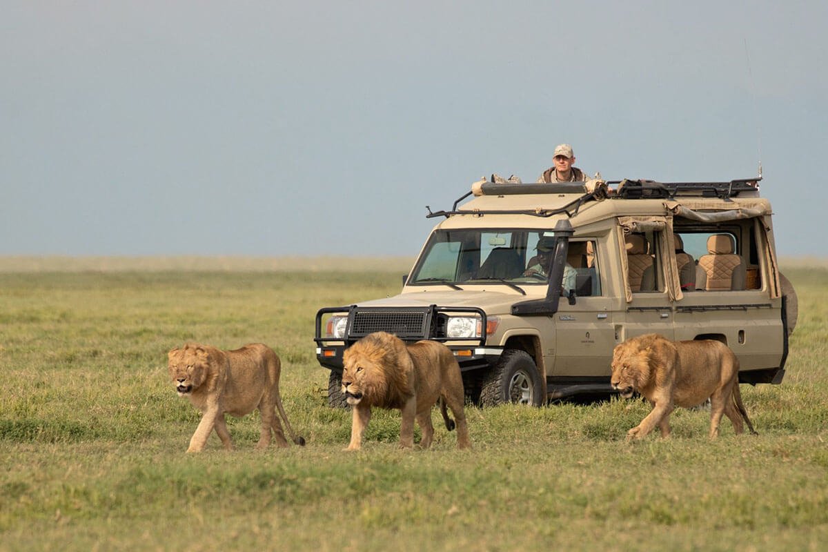 Backpacking Africa: Complete Guide 2026-2027