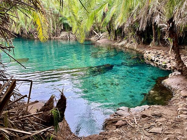 Chemka Hot Springs Day Trip from Moshi/Arusha Best of 2026-2027