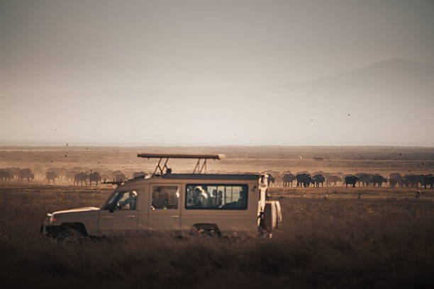 Mahale Fly-In Safari from Arusha – Flights, Chimp Trekking & Prices