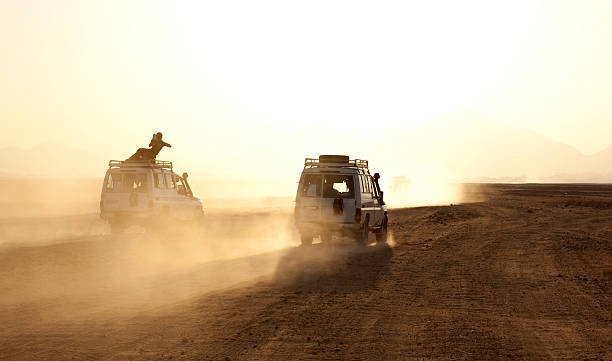 Nyerere Boat Safari & Game Drive Package: Prices & Itinerary 2026-2027