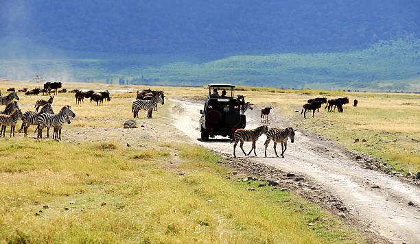 Is It Safe To Travel To Africa With Kids: Essential Guide