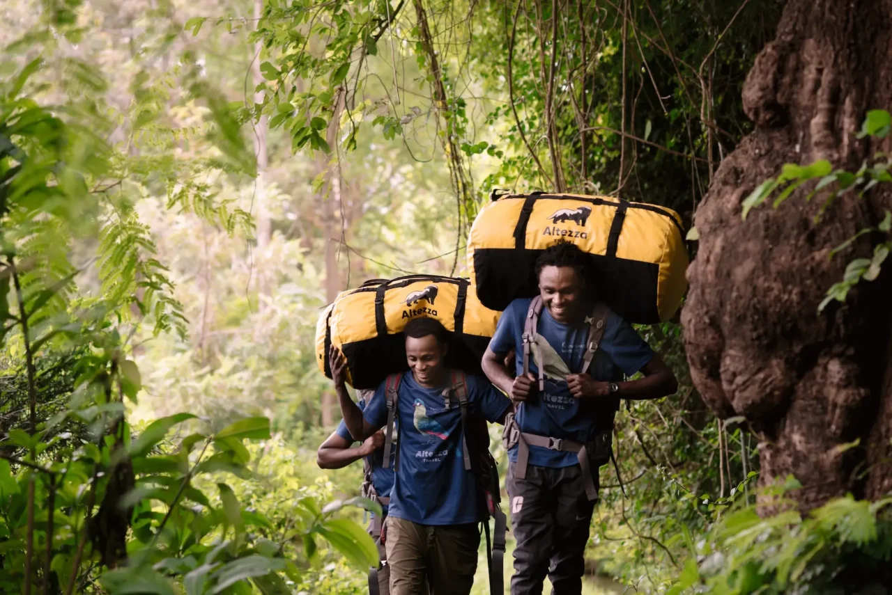 7 Days Kilimanjaro Machame Departure 4-10 September : Your Expert Trek