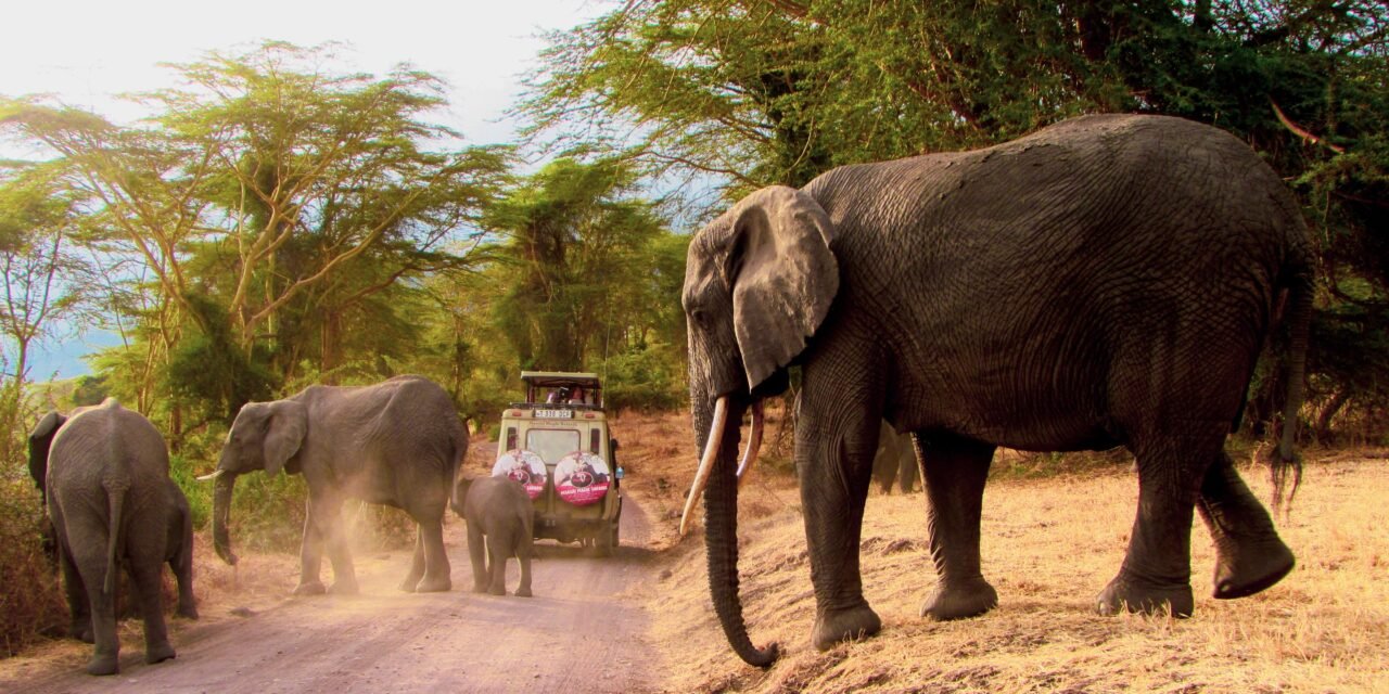 3 Days Lake Manyara, Ngorongoro and Tarangire Safari – Book Wildlife Combo