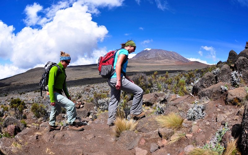 Spanish Kilimanjaro Treks: Routes, Costs & Planning 2026-2027