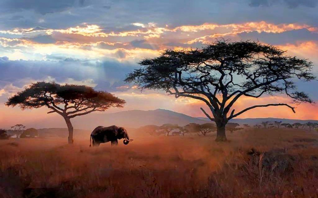Lake Manyara Family Safari – Book Easy Wildlife Adventure from Arusha