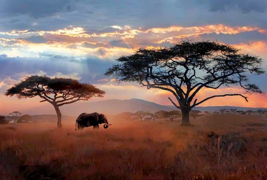 Lake Manyara Family Safari - Book Easy Wildlife Adventure from Arusha