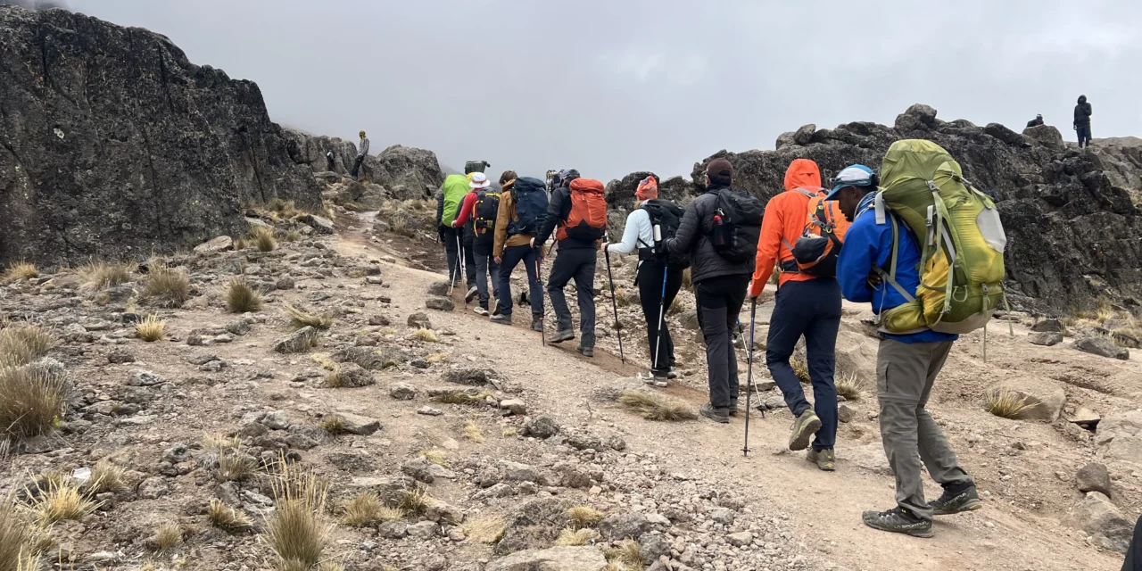 Kilimanjaro Viewpoint Day Tour From Arusha – No Summit Climb In 2026-2027