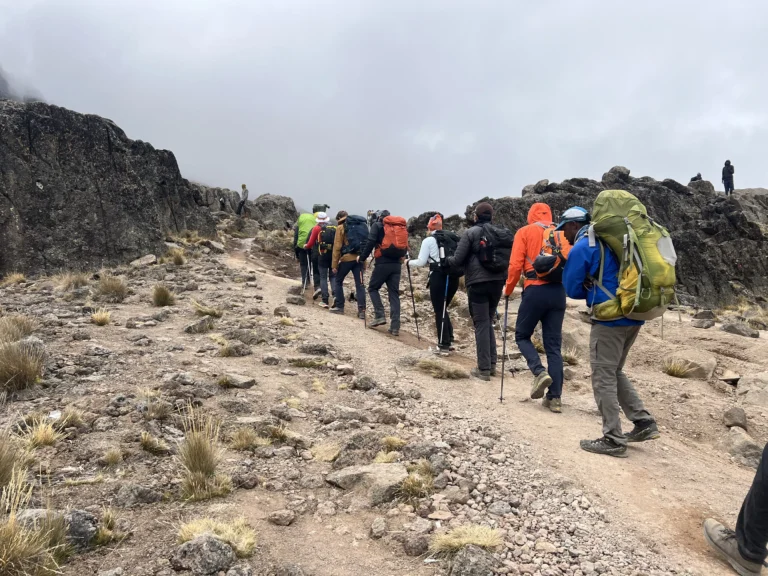 Private Kilimanjaro Gate Visit From Arusha – Guided Photo Tour