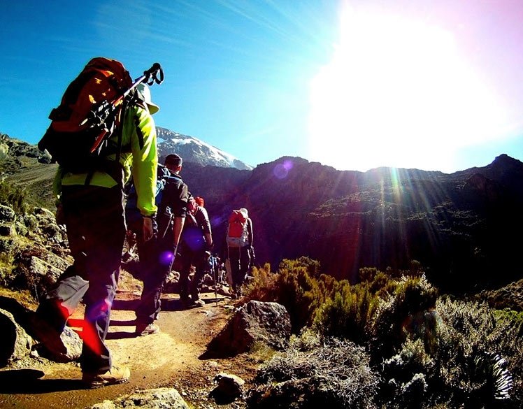 7 Days Kilimanjaro Machame Group Climb 1-7 July : Your Essential Guide