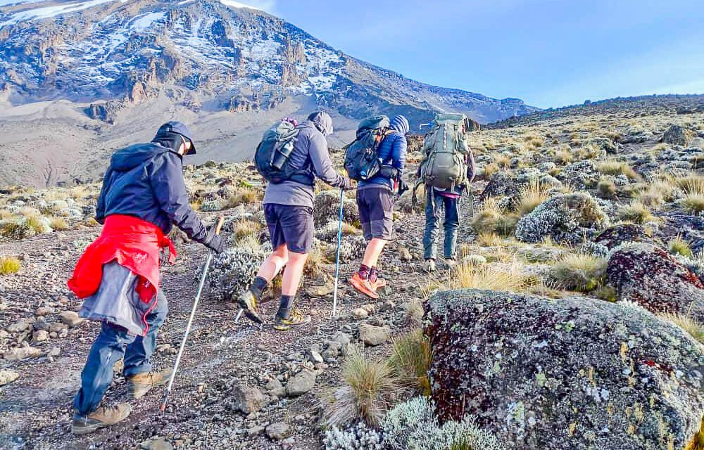 8 Days Kilimanjaro Lemosho Group Departure 10-17 January 2027