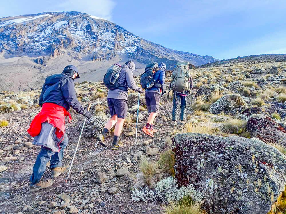 7 Days Kilimanjaro Lemosho Private Climb, Starting 13 October 2026-2027