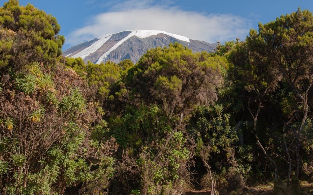 Affordable 6 days Marangu route Kilimanjaro climb cost and route map 2026-2027