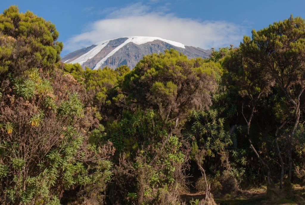 Affordable 6 days Marangu route Kilimanjaro climb cost and route map 2026-2027