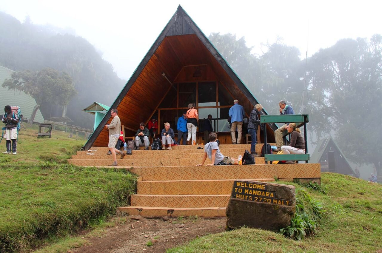 Ruta Lemosho Kilimanjaro: 7 U 8 Días 2026-2027