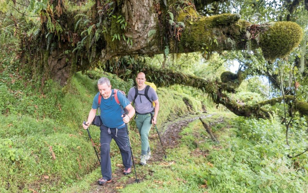 Mount Meru Climb Before Kilimanjaro – Book Perfect Training Trek in Tanzania