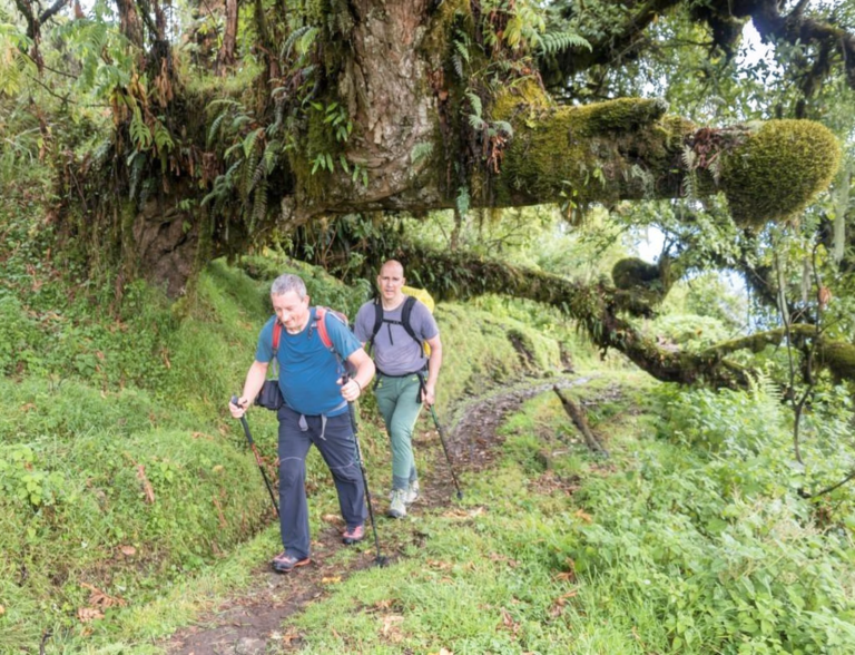 Trekking Monte Meru 4 días