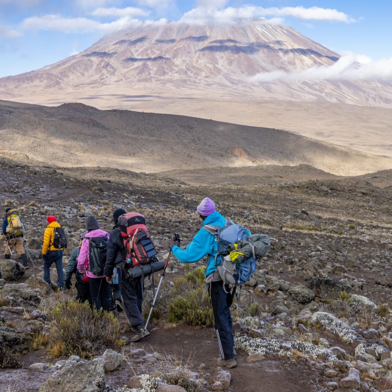 New Year Kilimanjaro Climb - Book Uhuru Peak Summit and Start the Year Strong