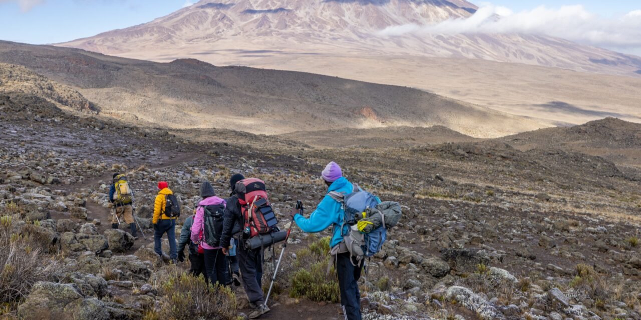 New Year Kilimanjaro Climb – Book Uhuru Peak Summit and Start the Year Strong