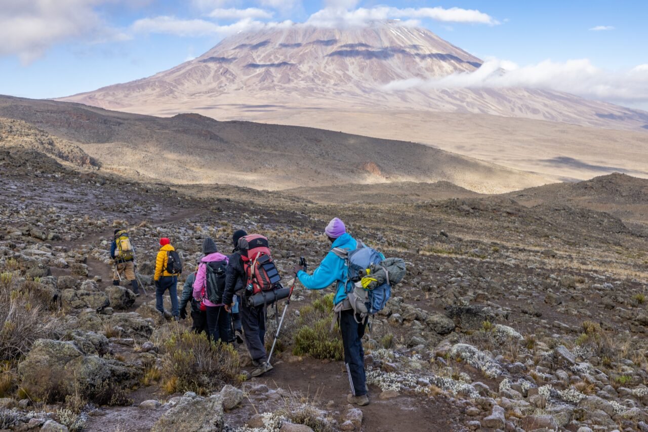 7 Days Kilimanjaro Machame Departure 4-10 September : Your Expert Trek